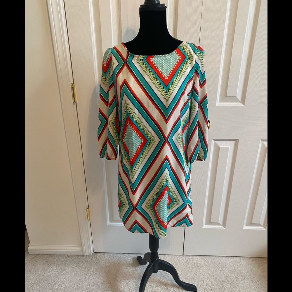 Colorful Pink Owl Chevron print shift dress medium